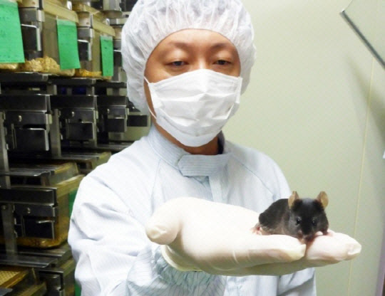 '마우스 감염모델' 모습.   국가마우스표현형분석사업단 제공